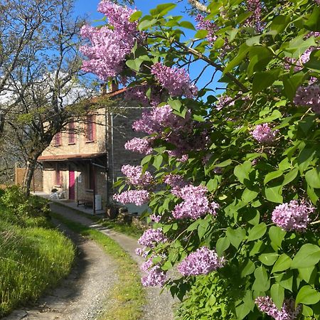 La Lupa E L'Orso Bed & Breakfast Berceto Eksteriør bilde